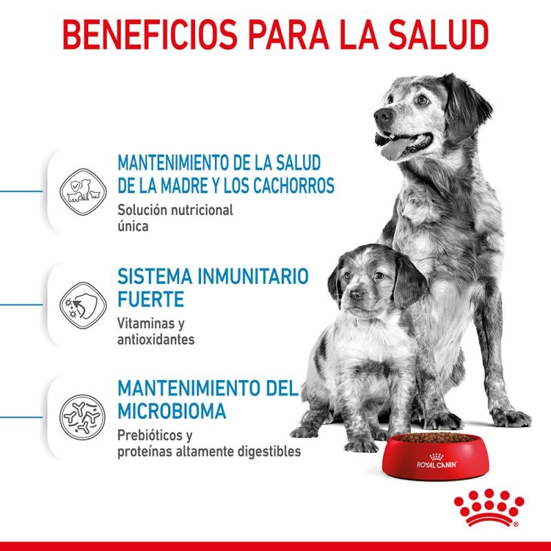 Royal Canin Medium Starter Pienso para Perros
