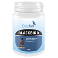 BlackBird | Potenciador de eumelaninas (Oxidación canarios negros)
