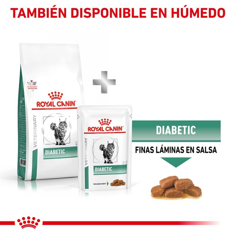 Royal Canin Diet Feline Diabetic Pienso Para Gatos