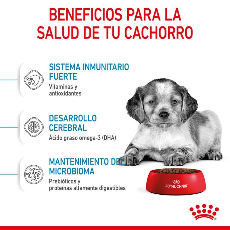 Royal Canin Medium Puppy pienso para perros