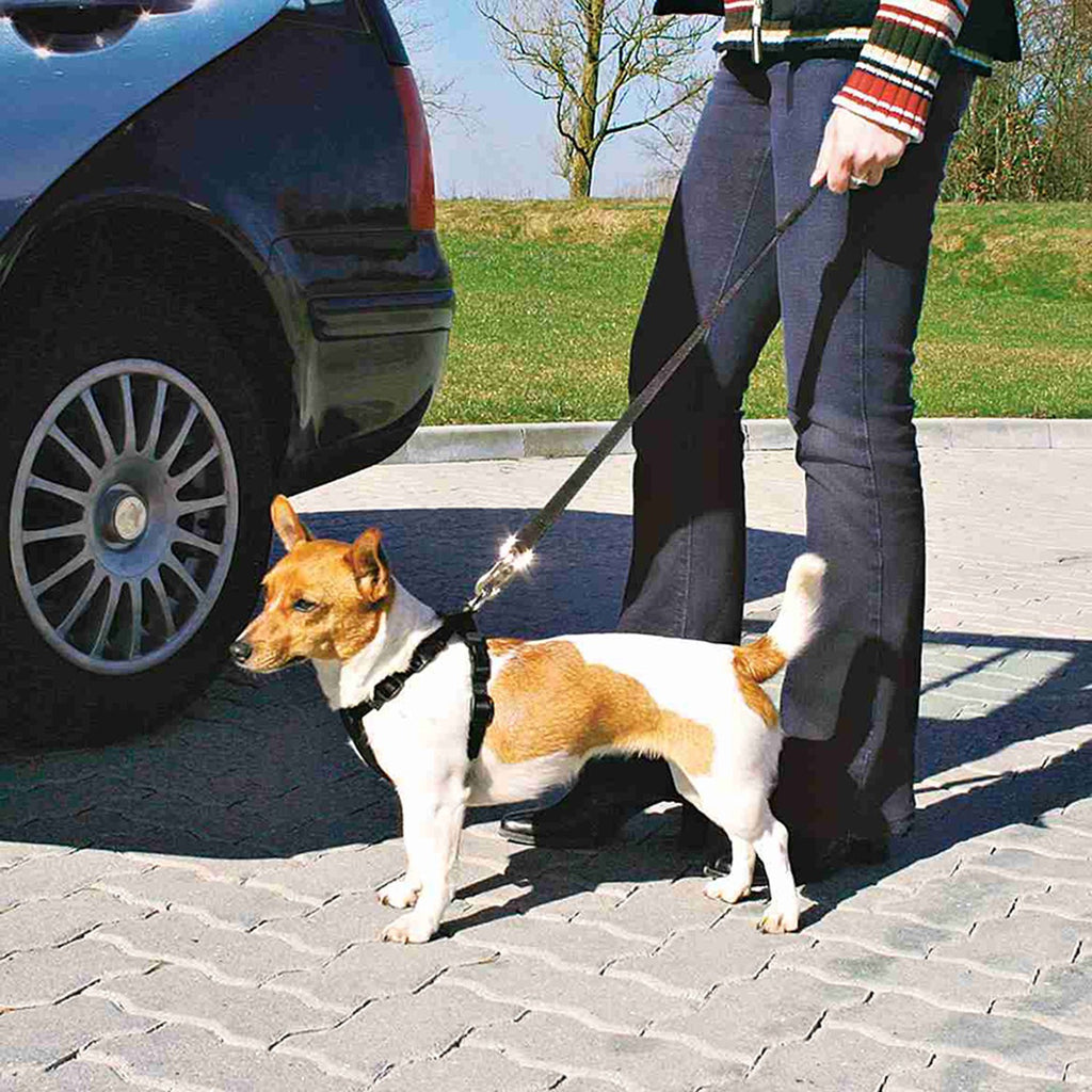 Arnés para Coche