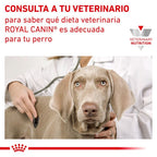 Royal Canin Diet Canine Gastro Intestinal High Fibre pienso para perros