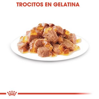 Royal Canin Sterilised en gelatina 12x85g