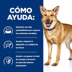 Hill's i/d Low Fat Prescription Diet Digestive Care estofado para perros