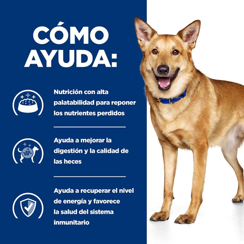Hill's i/d Low Fat Prescription Diet Digestive Care estofado para perros