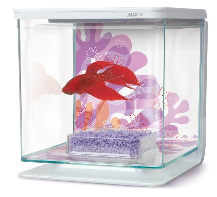 Bettera Kit Marina Betta