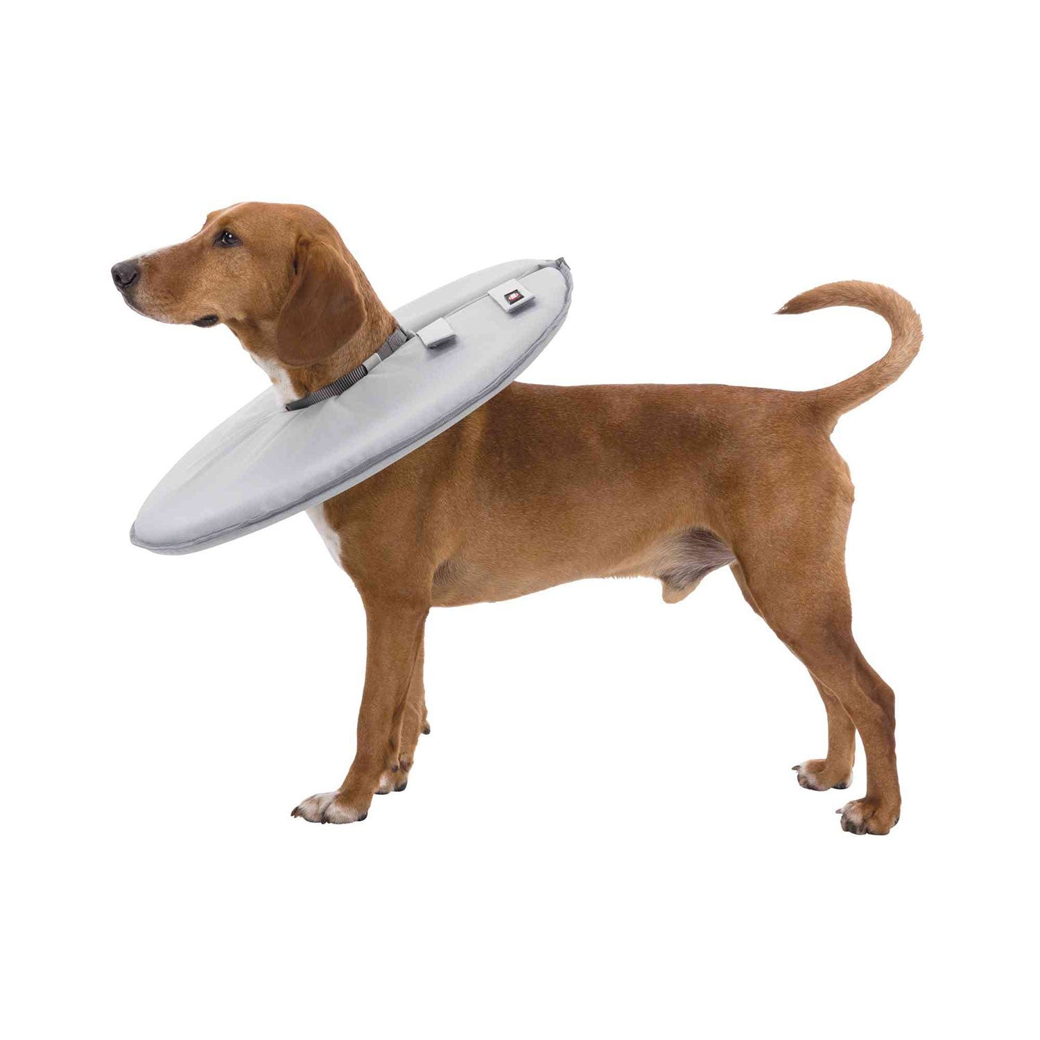 Collar Veterinario