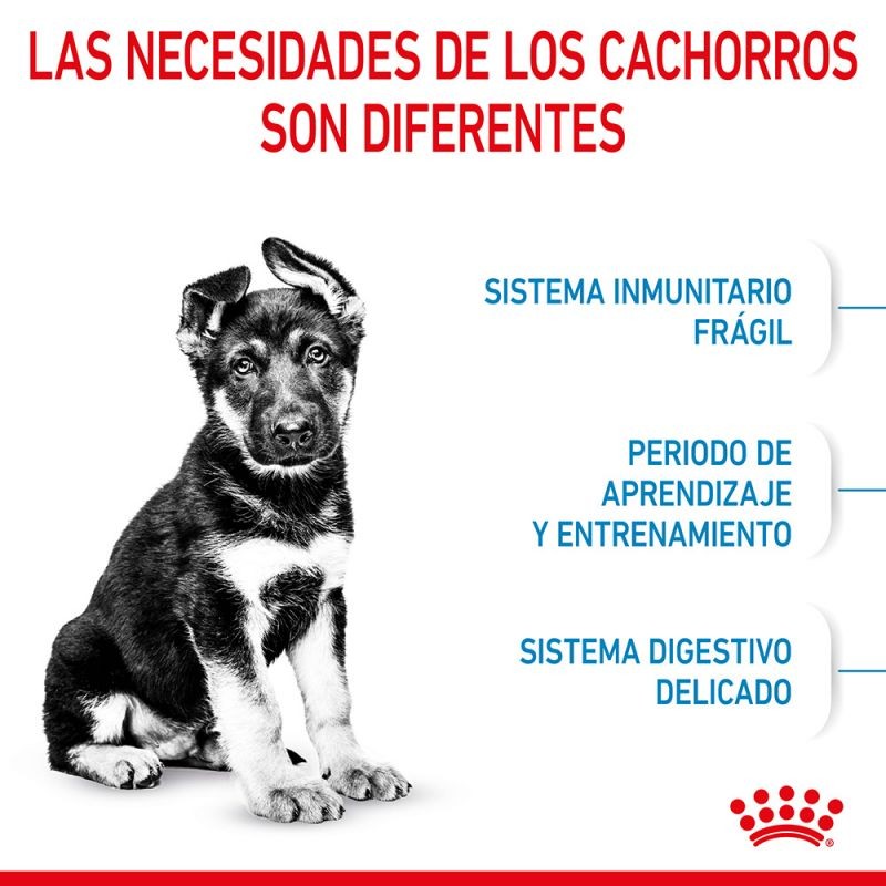 Royal Canin Maxi Puppy pienso para Perros
