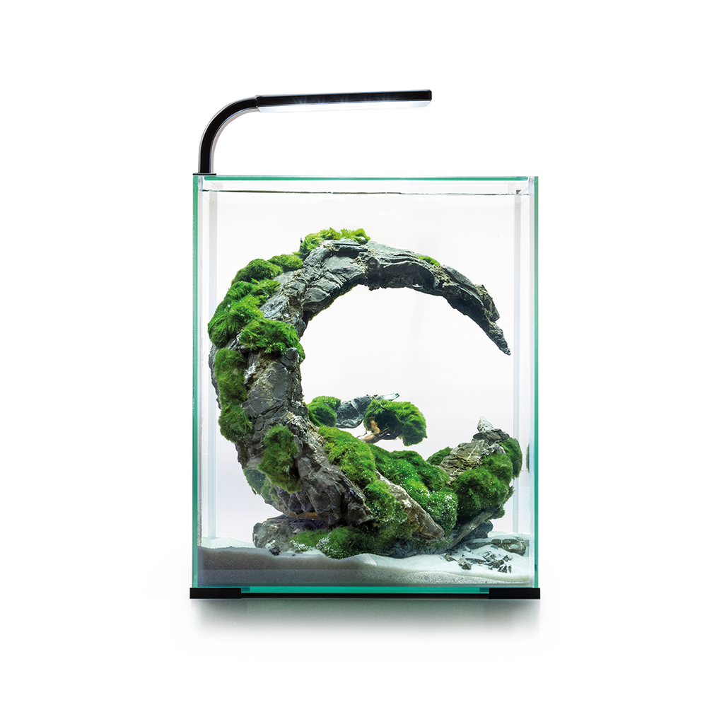 Acuario Completo Shrimp Day&Night Aquael Blanco