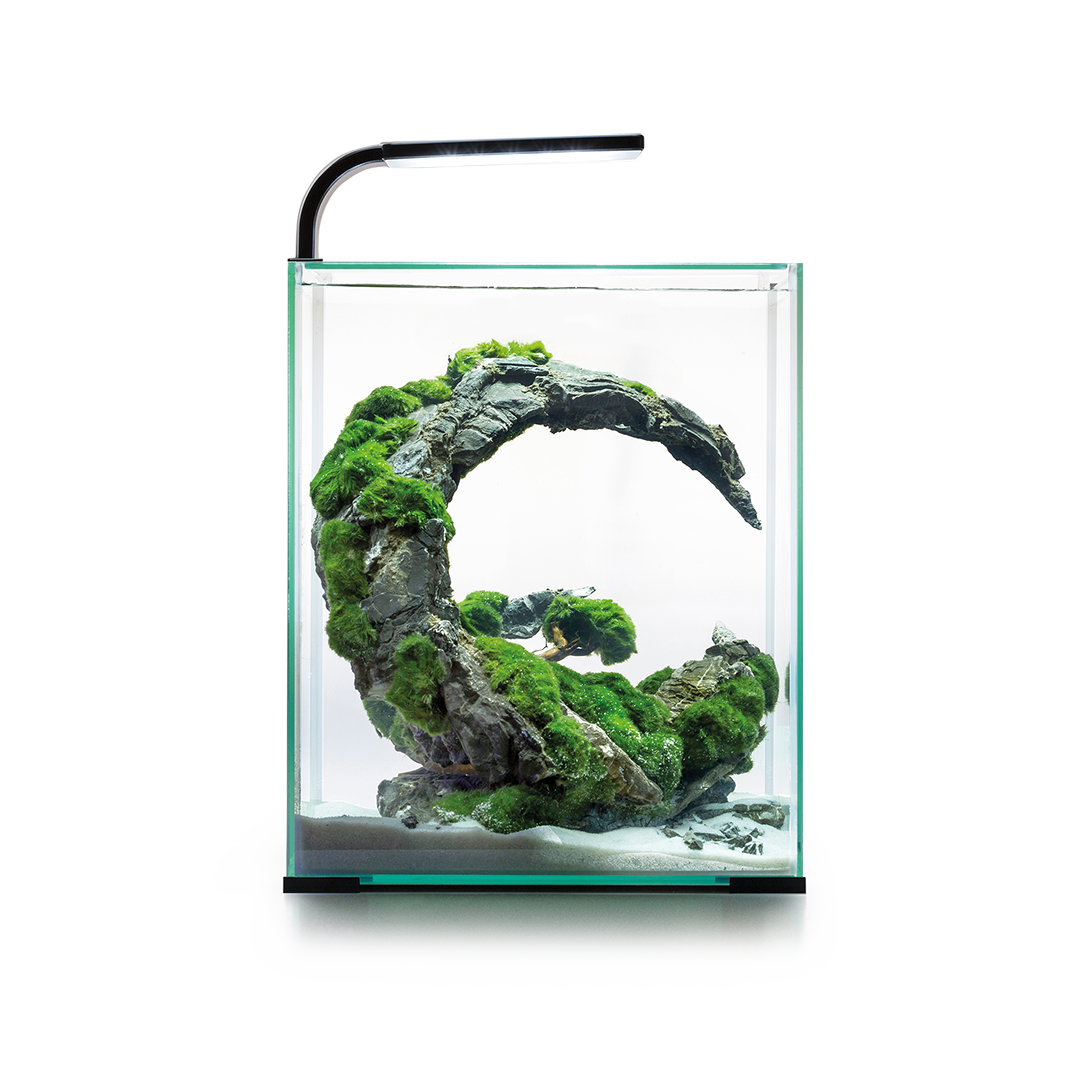Acuario Completo Shrimp Day&Night Aquael Blanco