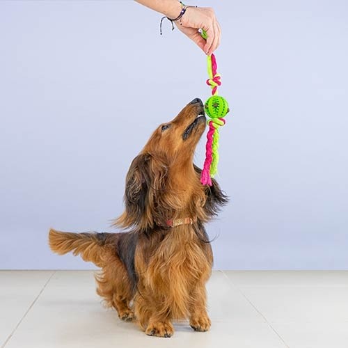 Pelota con nudos "Dientes limpios"