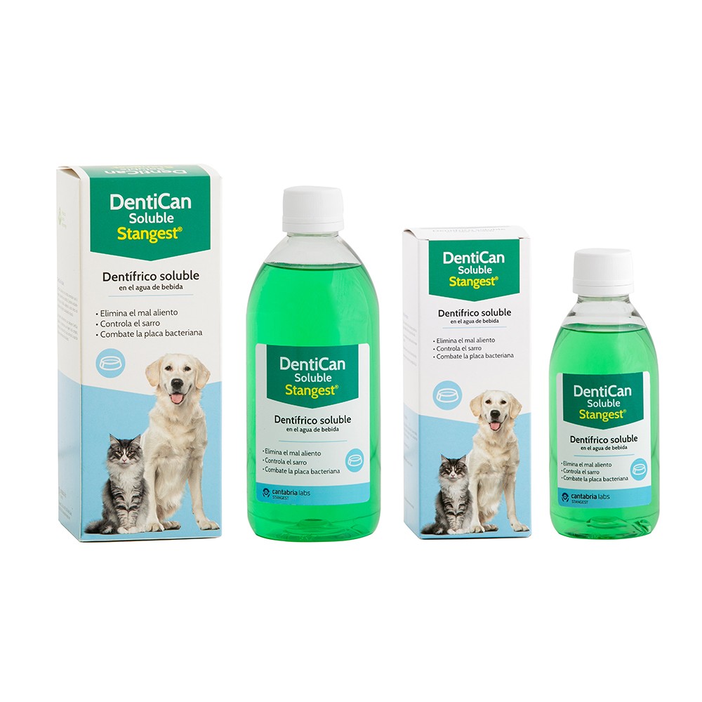 Stangest Dentican Soluble