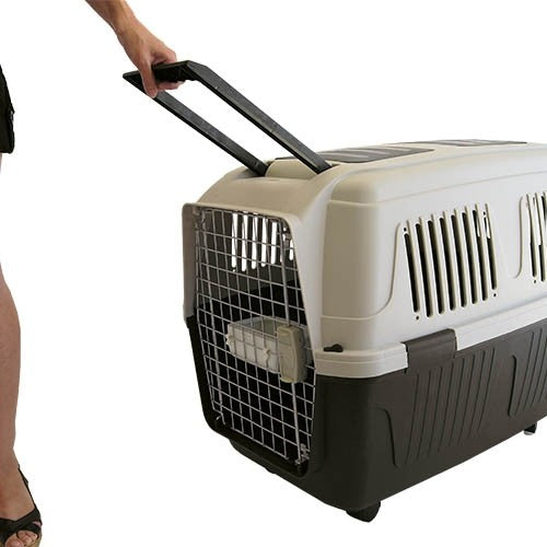 Transportines para perros Traveller