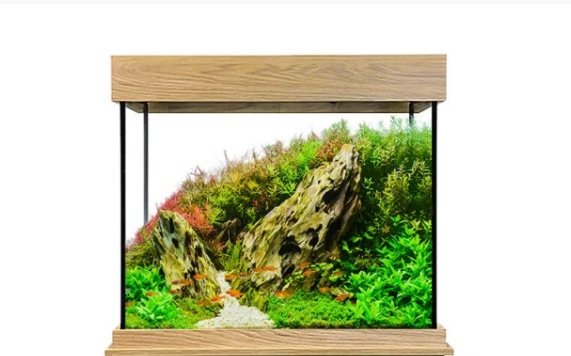Set Acuario Fluval Shaker 168 l + Mesa