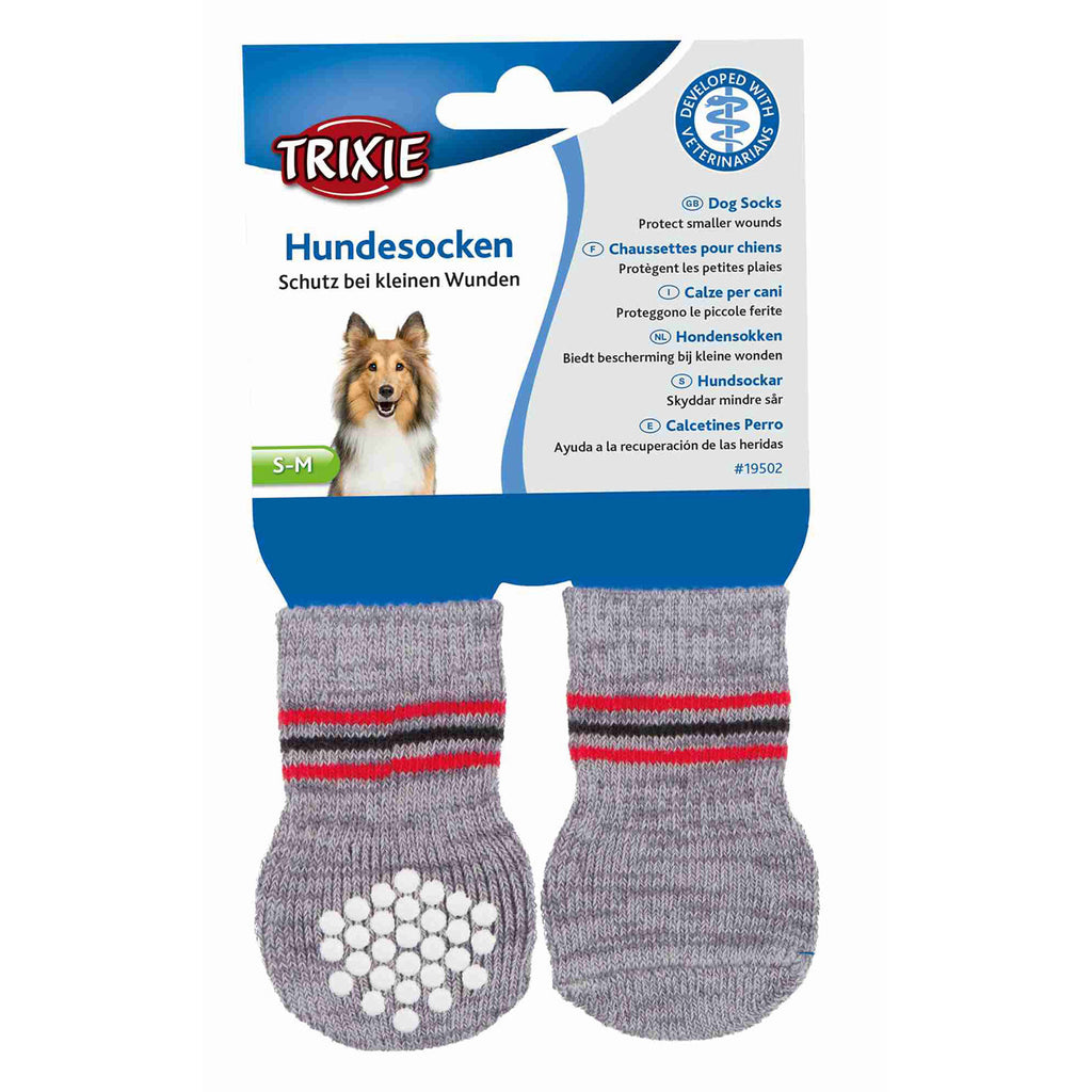 Calcetines Perro
