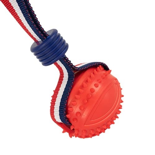 Lanzador elástico con pelota