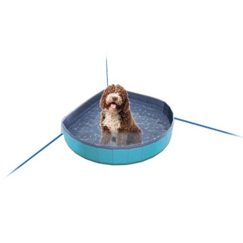 Piscina de Perros Ibañez