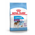 Royal Canin Giant Junior pienso para perros 15kg