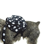 Mochila-arnés para perros pequeños