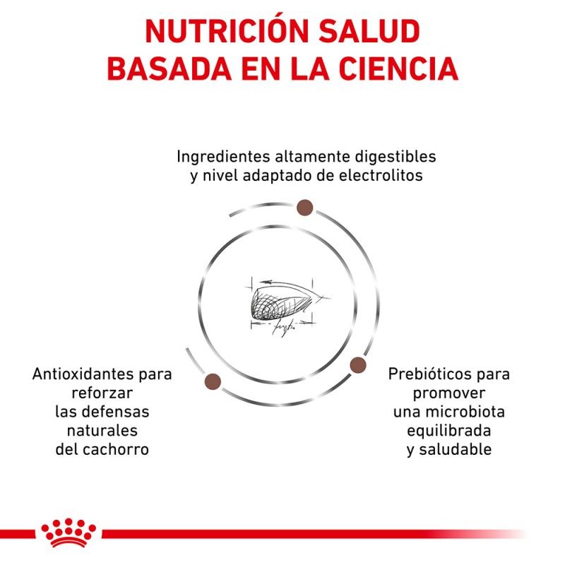 Royal Canin Puppy Veterinary Gastrointestinal pienso para perros