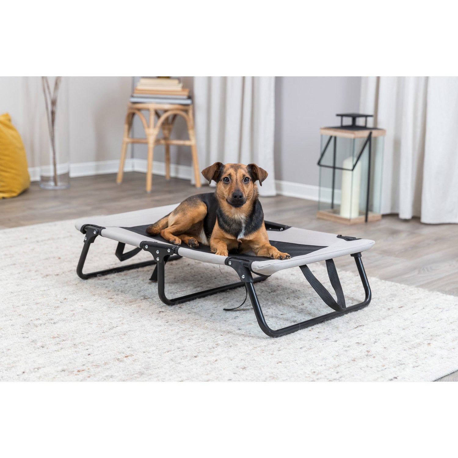 Tumbona para perros