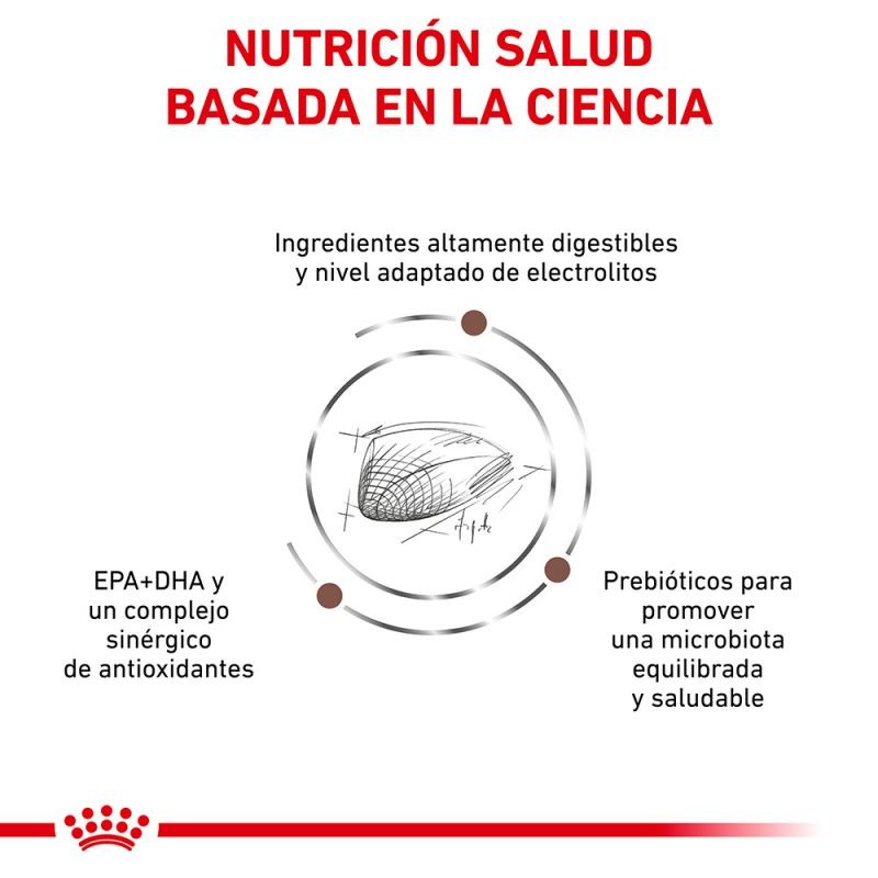 Royal Canin Diet Feline Hepatic pienso para gatos