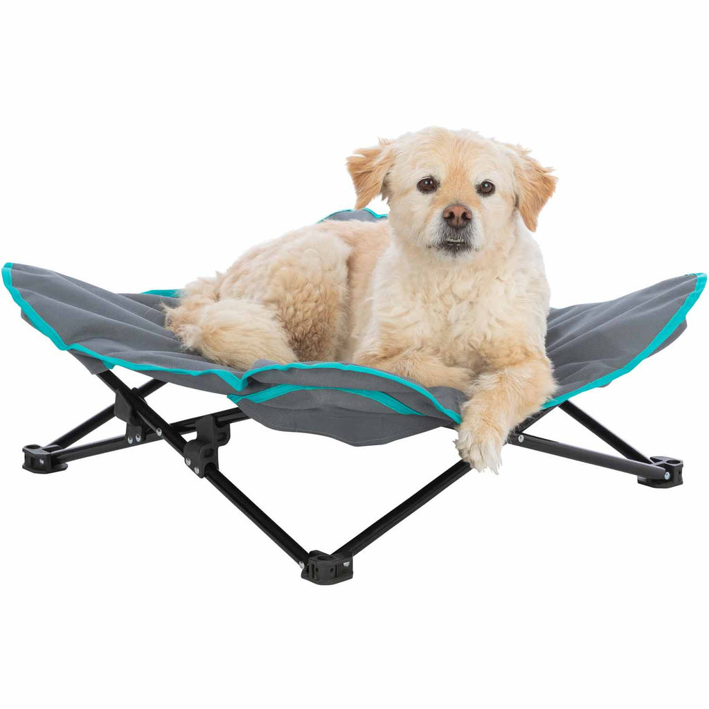 Cama de camping para perros