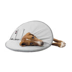 Collar Veterinario