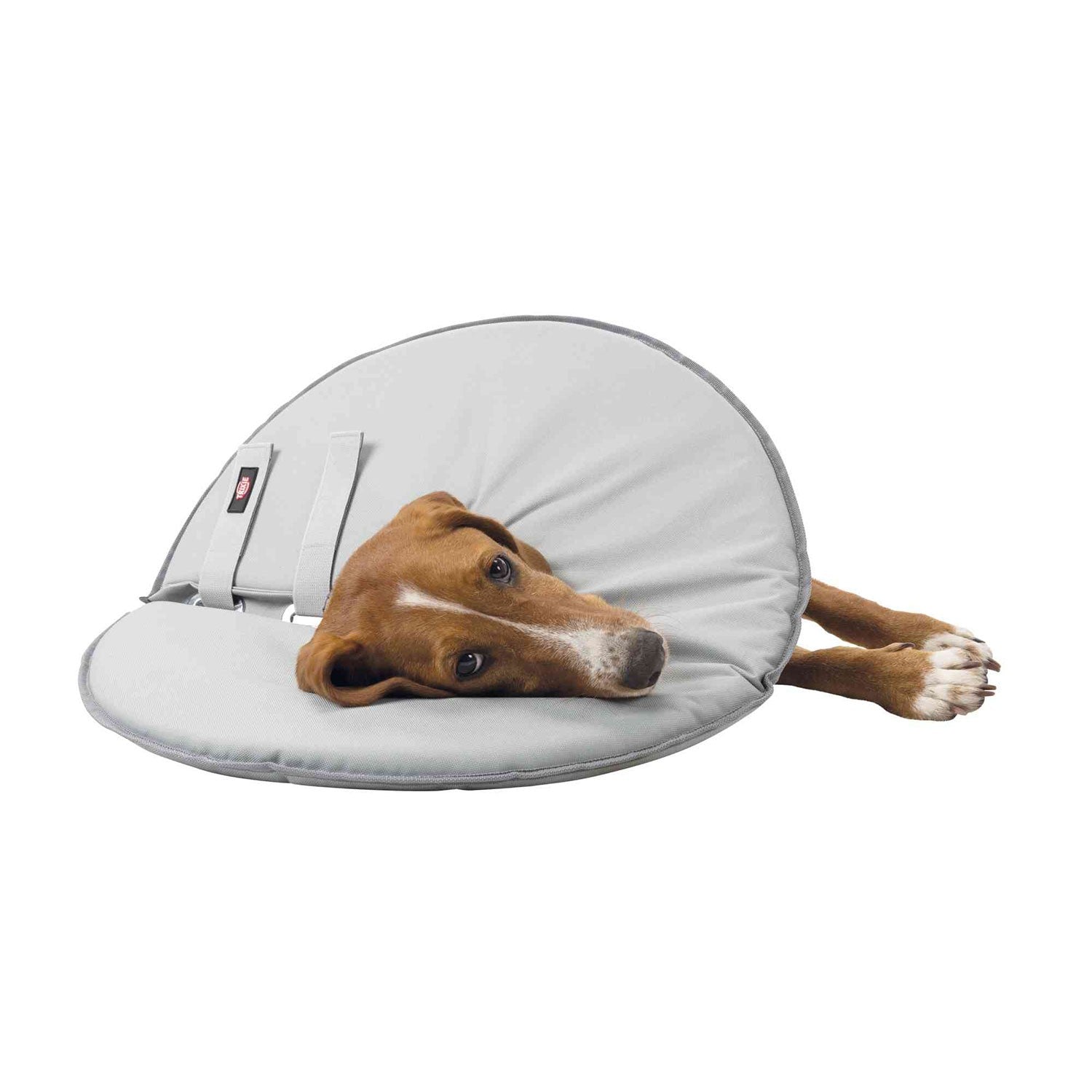 Collar Veterinario