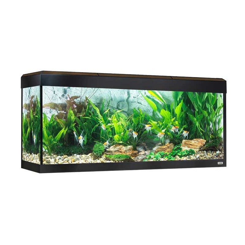 Acuario Fluval Roma LED Bluetooth 240L