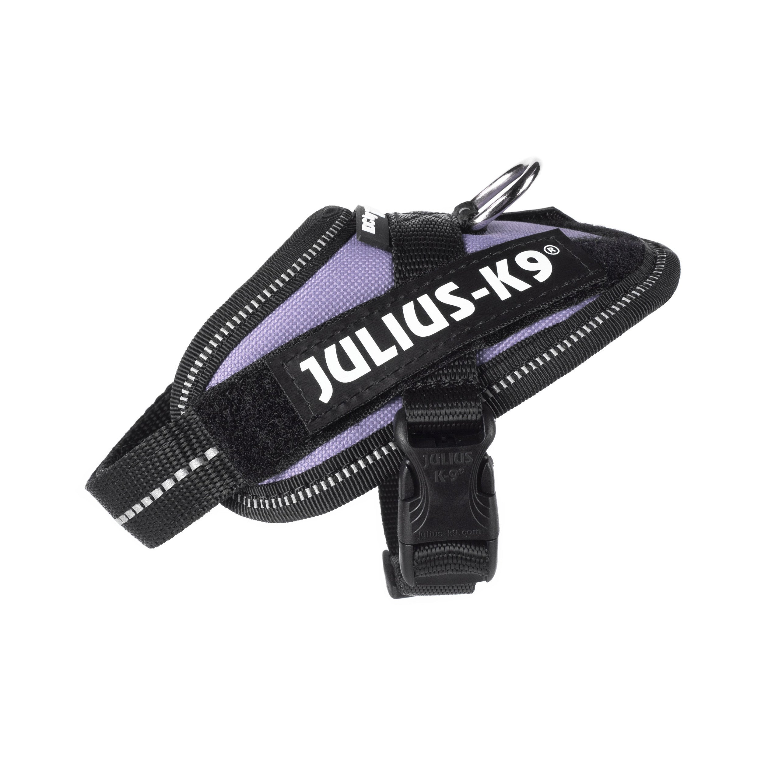 Arnés Julius K9 IDC Púrpura