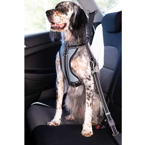 Arnés coche con cinturón seguridad Ibáñez Dogway