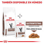 Royal Canin Diet Feline Gastro Intestinal Moderate Calorie pienso para gatos