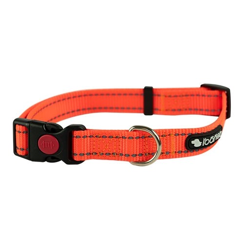Collar, Reflectante