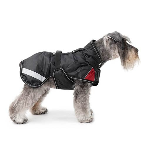 Abrigo +Street Breathe Comfort