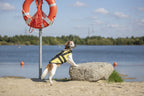 Chaleco Salvavidas para Perros