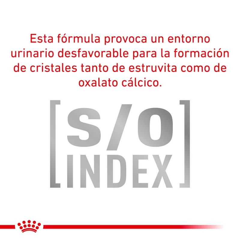 Royal Canin Diet Feline Anallergenic Pienso Para Gatos