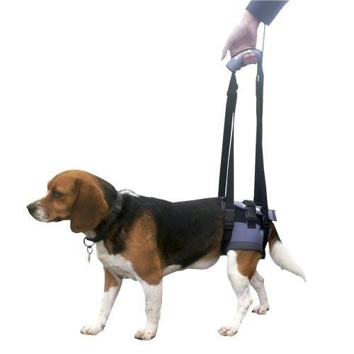 Transportador Manual Trasero