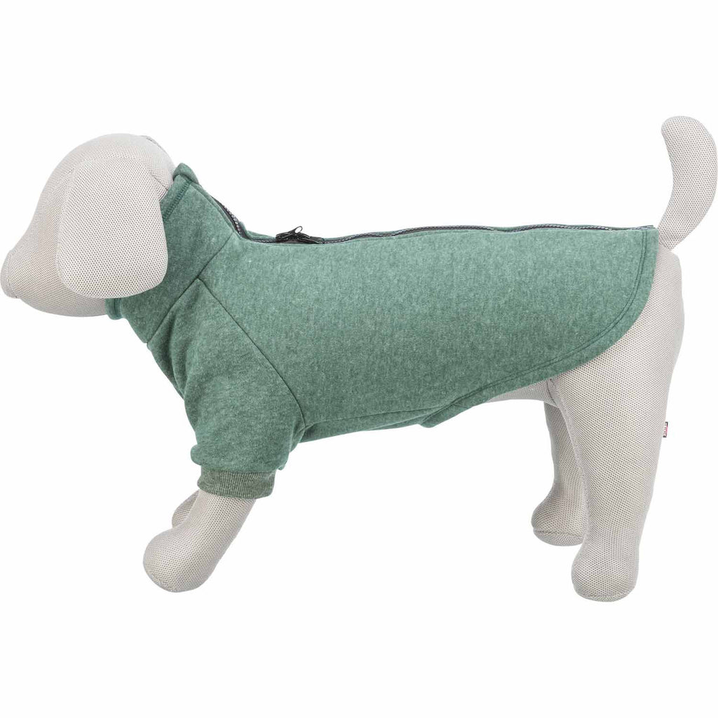 Sudadera Amsterdam estilo urbano