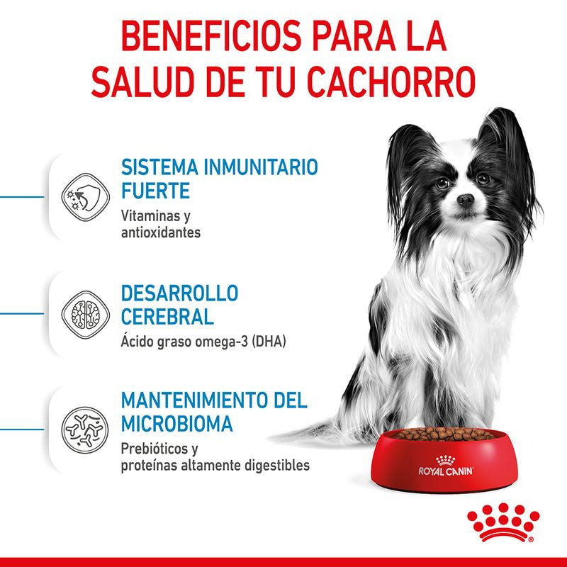 Royal Canin X-Small Puppy pienso para perros hasta 3kg