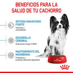Royal Canin X-Small Puppy pienso para perros hasta 3kg