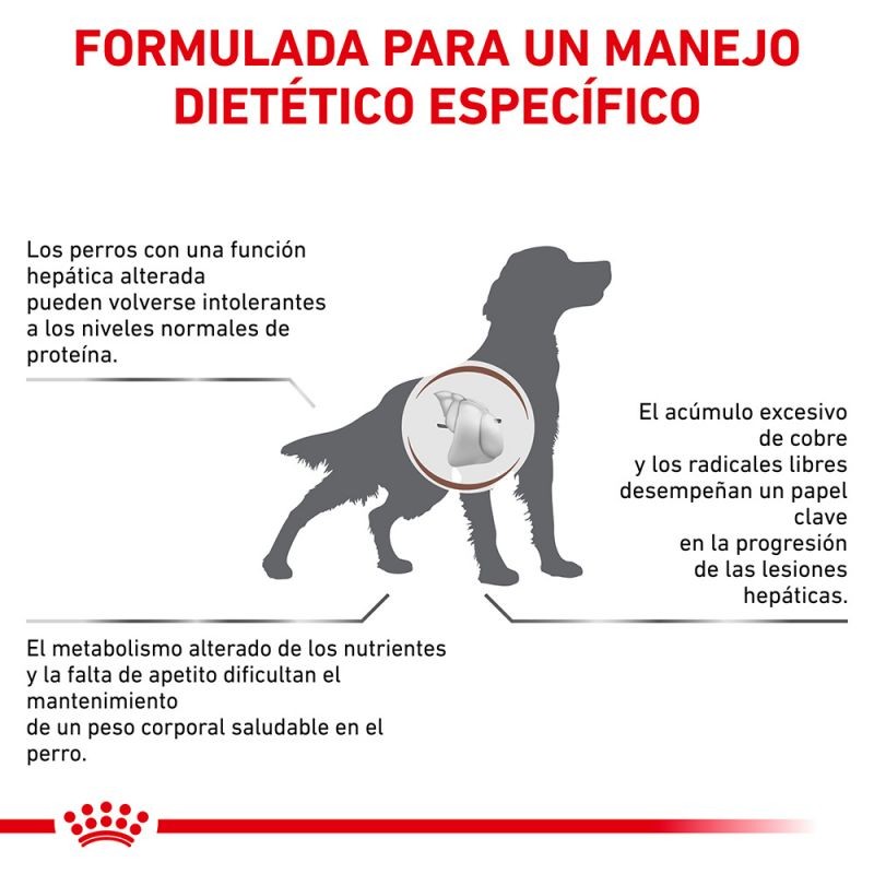 Royal Canin Diet Canine Hepatic HF16 pienso para perros