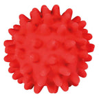 Pelota Erizo