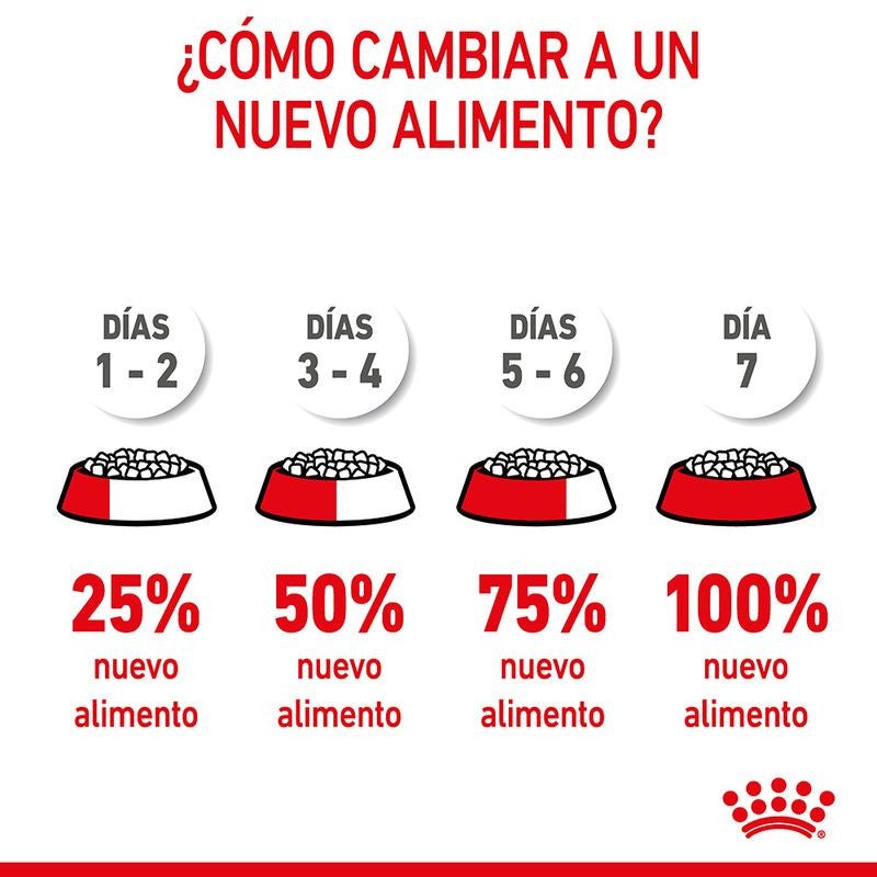 Royal Canin X-Small Puppy pienso para perros hasta 3kg