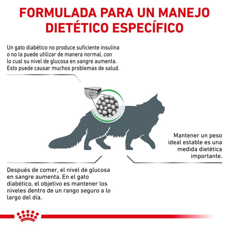 Royal Canin Diet Feline Diabetic Pienso Para Gatos