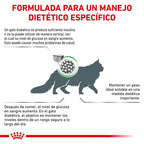 Royal Canin Diet Feline Diabetic Pienso Para Gatos