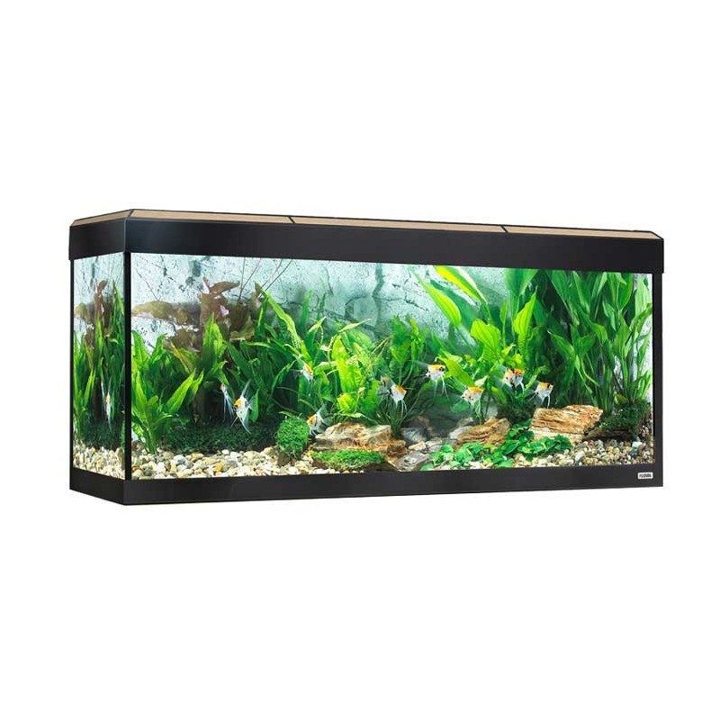 Acuario Fluval Roma LED Bluetooth 240L