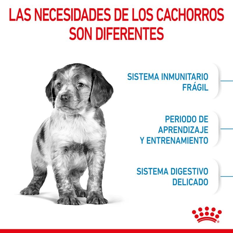 Royal Canin Medium Puppy pienso para perros