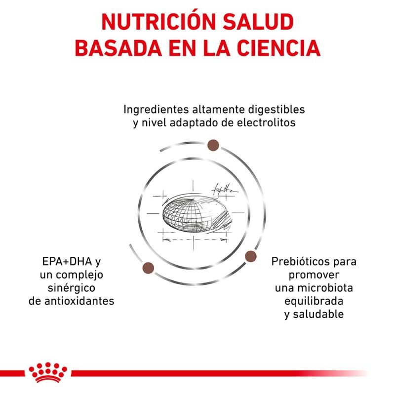 Royal Canin Veterinary Canine Gastro Intestinal Moderate Calorie