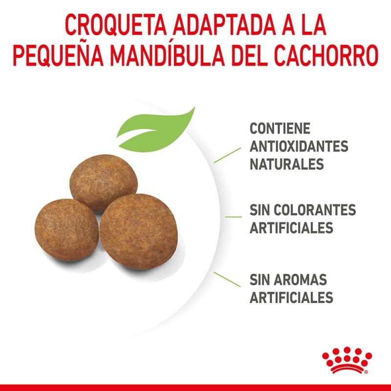 Royal Canin Maxi Puppy pienso para Perros
